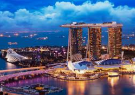 摇钱树捕鱼下载