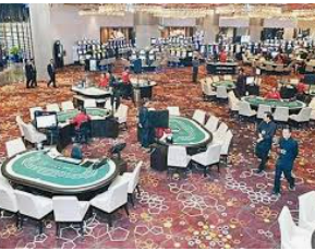 摇钱树捕鱼下载2024最新版